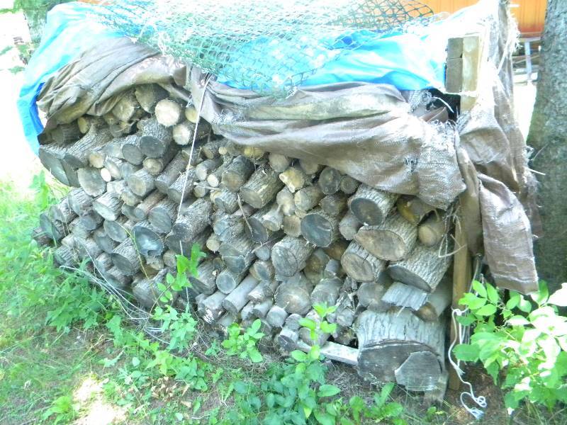 lot 440 image: Firewood Lot
