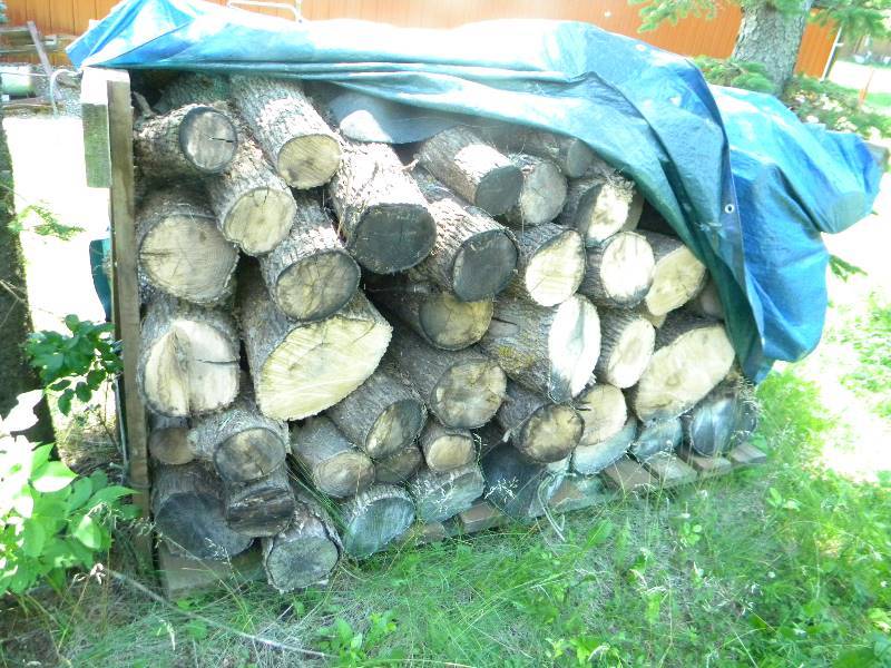 lot 442 image: Firewood Lot