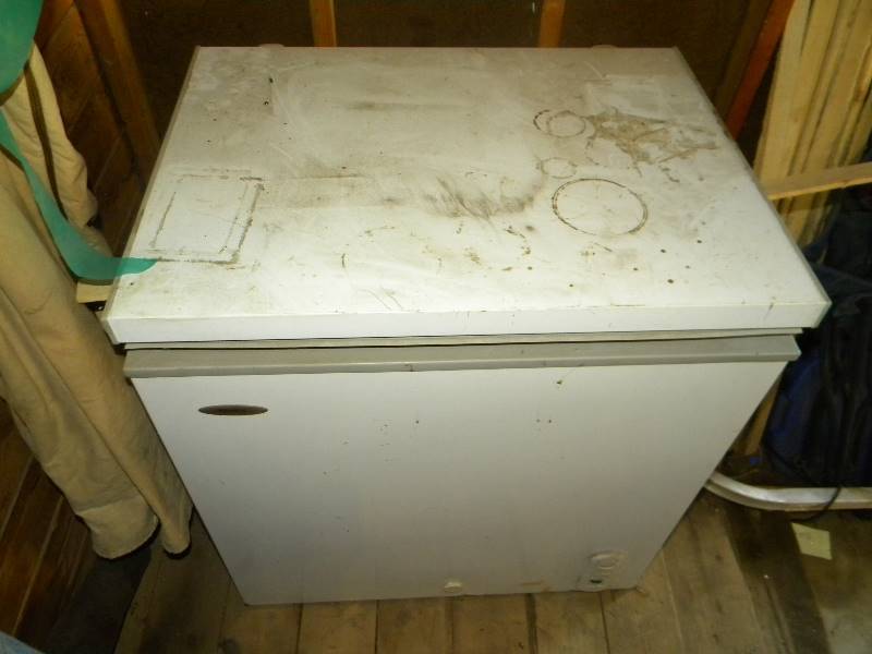 lot 464 image: Haier Freezer