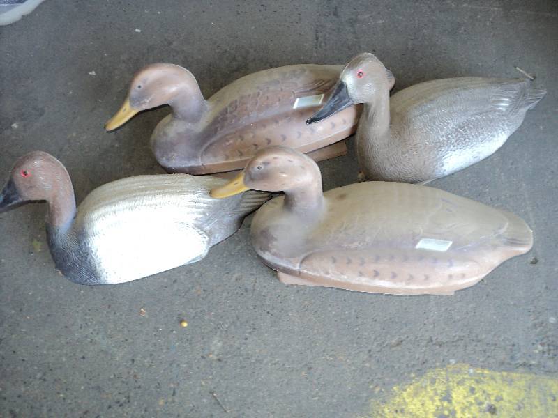4 decoys...