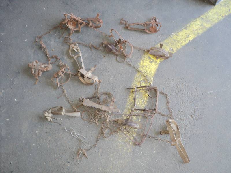 varitety of 16 traps...