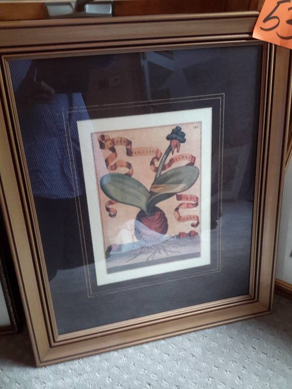 4 nicely framed pictures as shown..