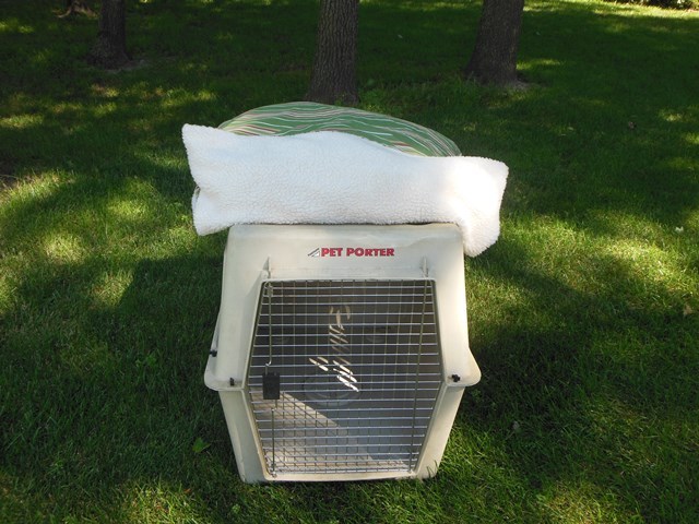 lot 50 image: Petmate X-Large Pet Porter and Washable Bed