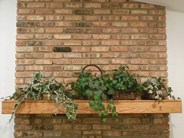 lot 116 image: Faux Ivy