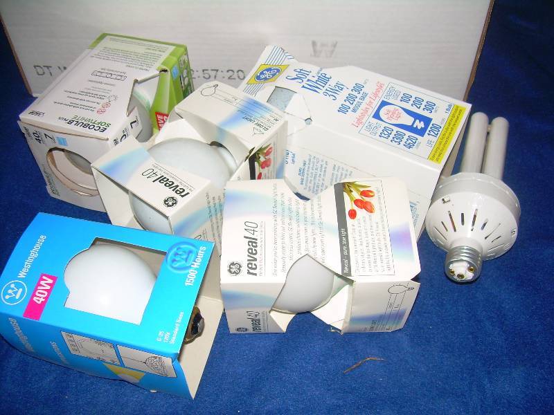 BOX OF LIGHT BULBS