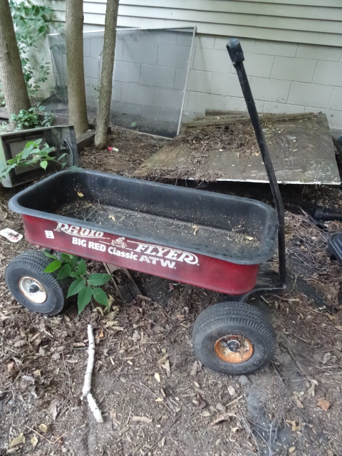 lot 238 image: Radio Flyer big red classic atw wag...