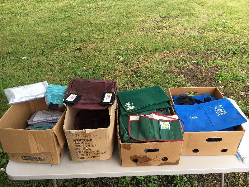 lot 37 image: 4 Boxes of Misc Car Care Products, Garden Tools & Bags