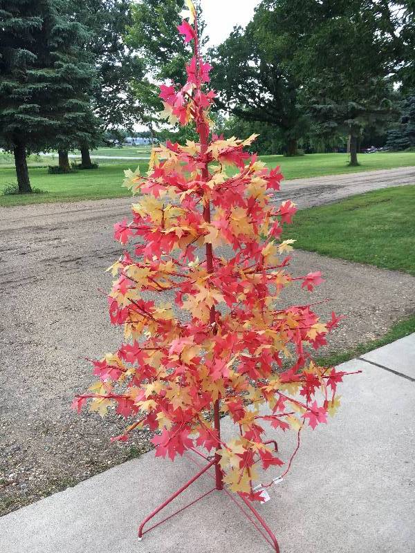 lot 39 image: 6 Lighted Fall Tree