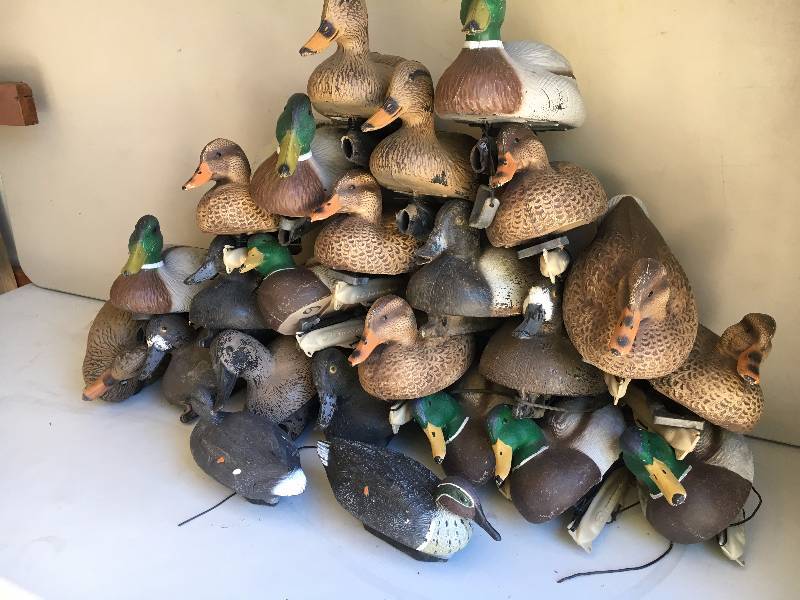 lot 46 image: 25 - Duck Decoys