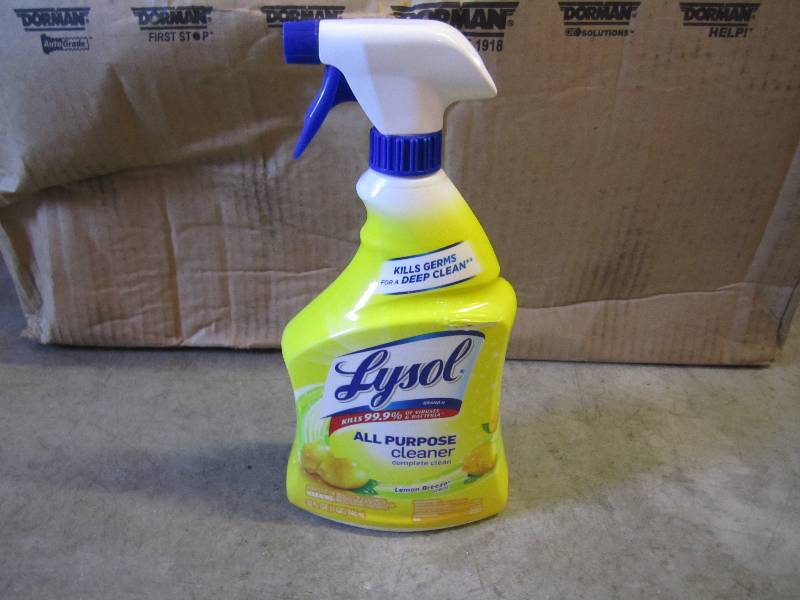 lot 73 image: Lot of 11 Lysol All Purpose Cleaner...