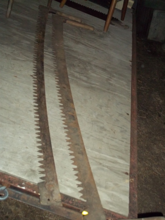 lot 114 image: Pair of 2 man saws  67 in long