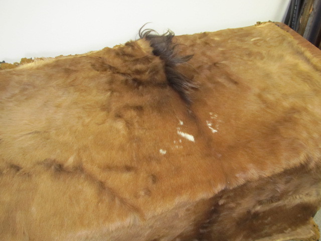 lot 91 image: Orig Antique Horse Hide Carriage Blanket