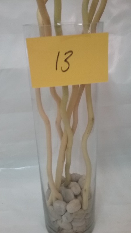 Room Decor Sticks and Stones