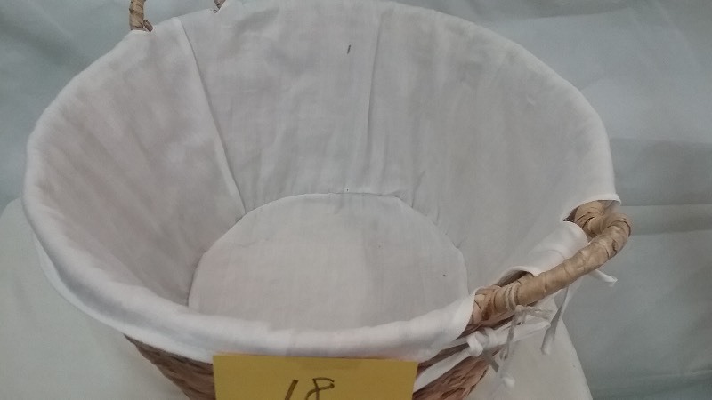 Laundry Basket with removable liner