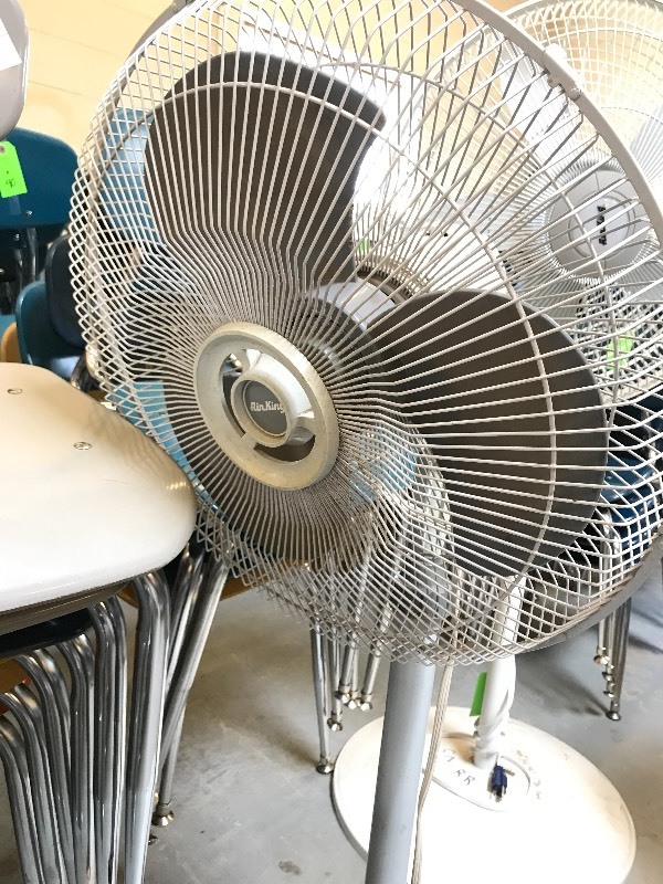 2 PEDESTAL FANS