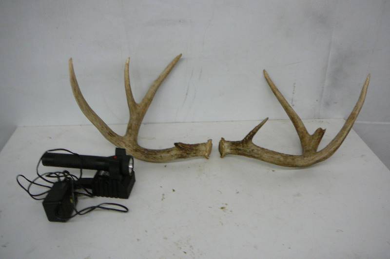 Flashlight & Deer Horns