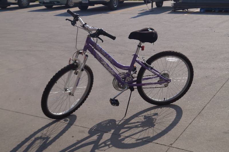 lot 25 image: 10 Speed Bike