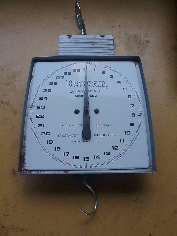 lot 120 image: Lot - Hanson Dairy Scale 60lb Capacity, Air Paint Tools, Etc