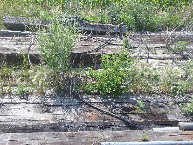 lot 258 image: Lot - Swamp Mats - appx 17, 16FT & 8FT