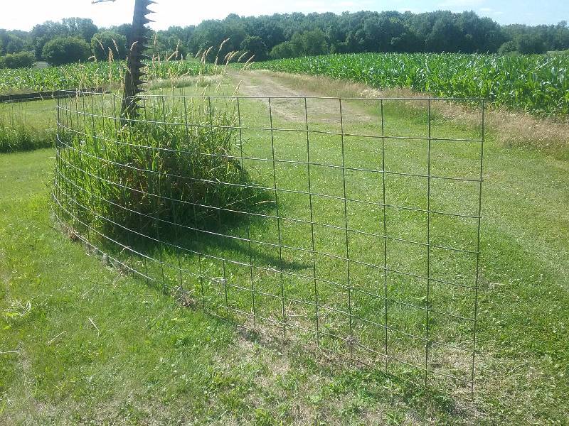 lot 268 image: 16FT Hog Panel