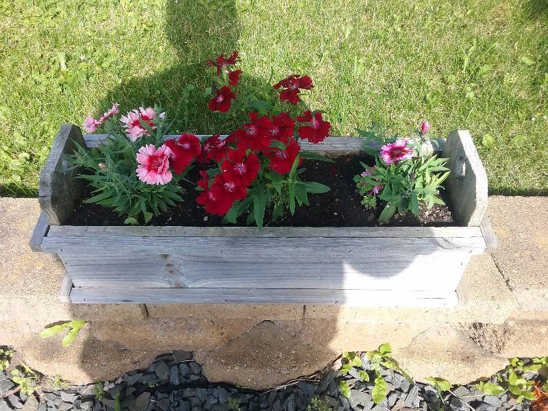 lot 281 image: Wood Planter with Content