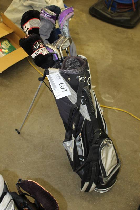 lot 101 image: Womens Golf Club Set w Bag