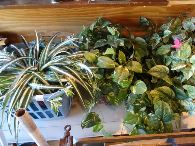 lot 107 image: Artificial Spider Plant Laundry Basket