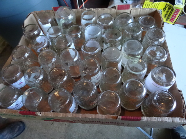 lot 169 image: 36 Jelly Jars With Rings