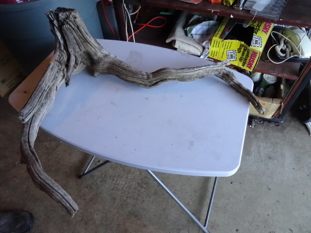 lot 177 image: Piece Of Drift Wood