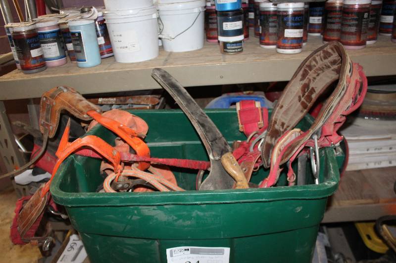 lot 184 image: Tree Trimming Climbing Gear
