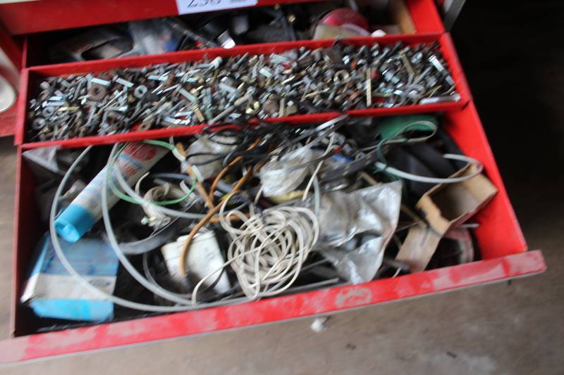 lot 239 image: Hardware - Screws, Bolts, Nuts