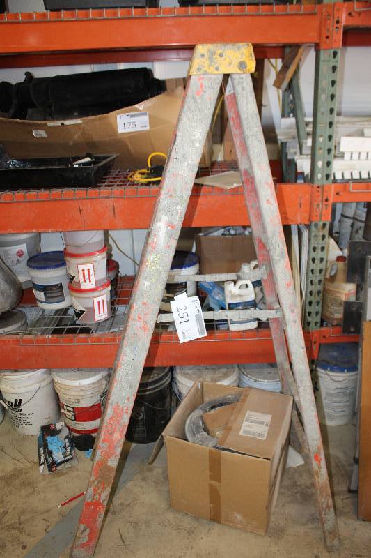 lot 251 image: 6ft. Ladder