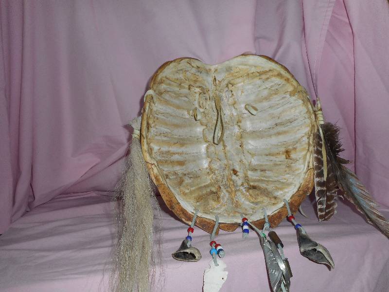 Native American Turtle Shell Wall Hanging
