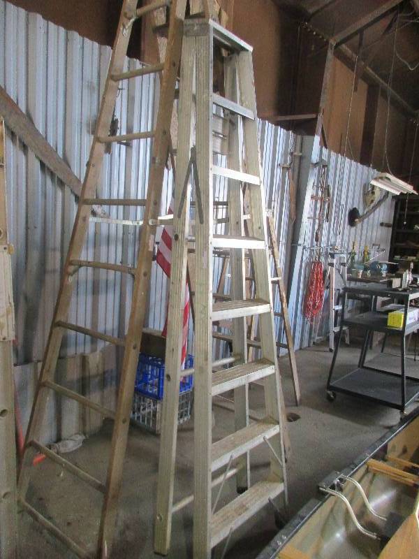 lot 365 image: Ladder