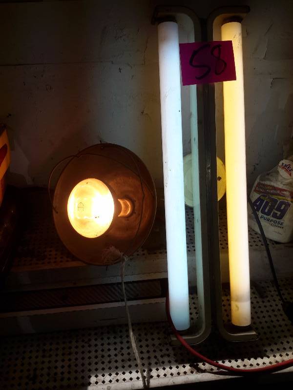 lot 58 image: Vintage fluorescent light fixture and heat lamp.. Both work