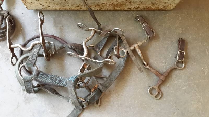 lot 186 image: Misc. Horse items.. Bits, Grooming items
