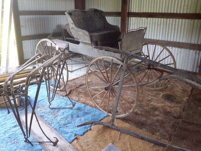 lot 1 image: HERCULES, Antique Doctors Buggy.. From early 1900s.