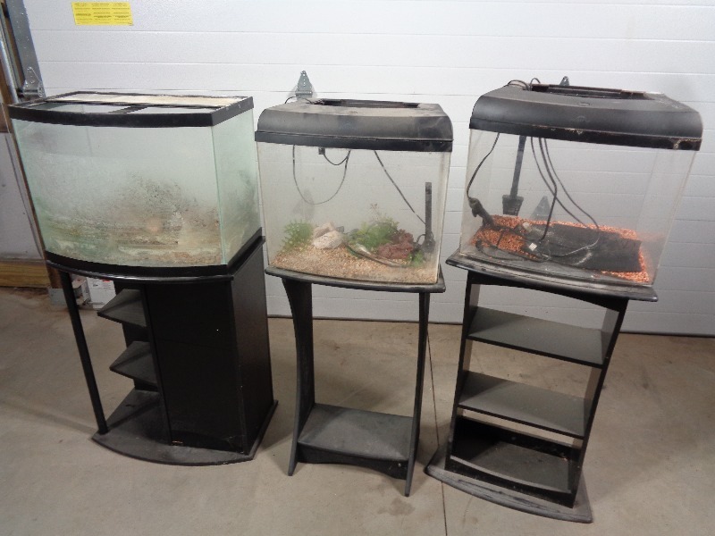 lot 123 image: Take What You Want Aquariums