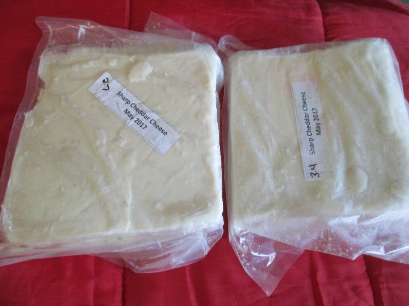 lot 19 image: 6.1 lb.Chunk Sharp Cheddar Cheese P...