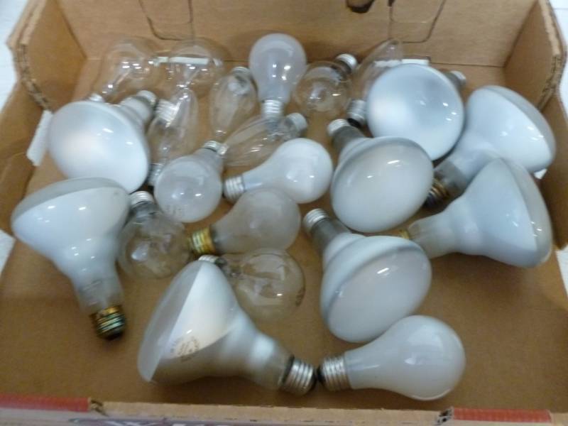 lot 206 image: Light Bulbs