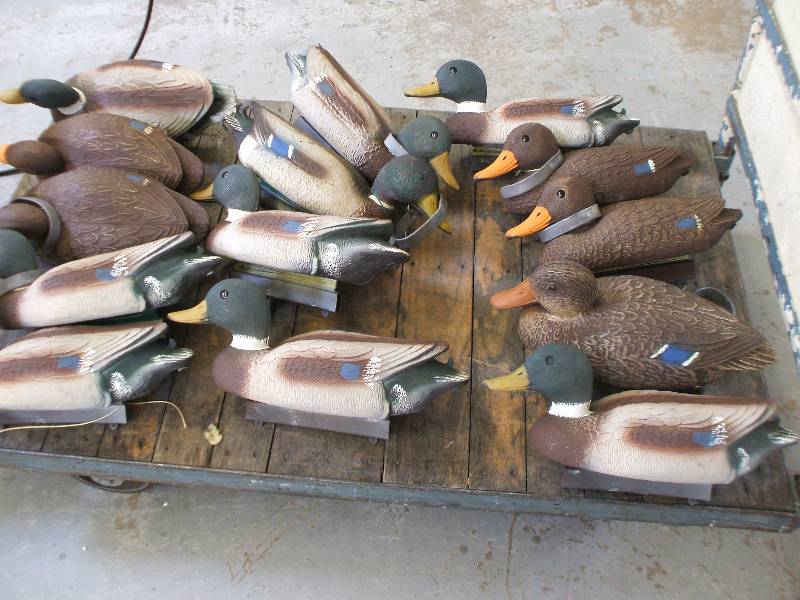 PLASTIC DUCK DECOYS