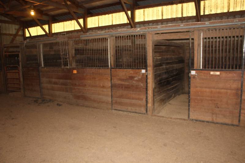 lot 34 image: Lot of (4) Wood Horse Stalls