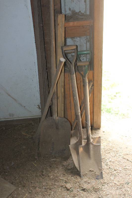 lot 46 image: Spades, Shovels, Rakes