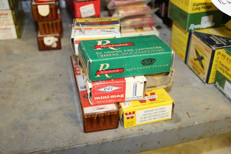 lot 207 image: Lot of (12) Boxes of .22, .25 Auto Ammo Approximately 600 Rounds