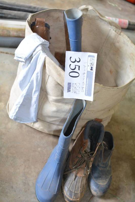 lot 350 image: Lot of (3) Pairs of Boots