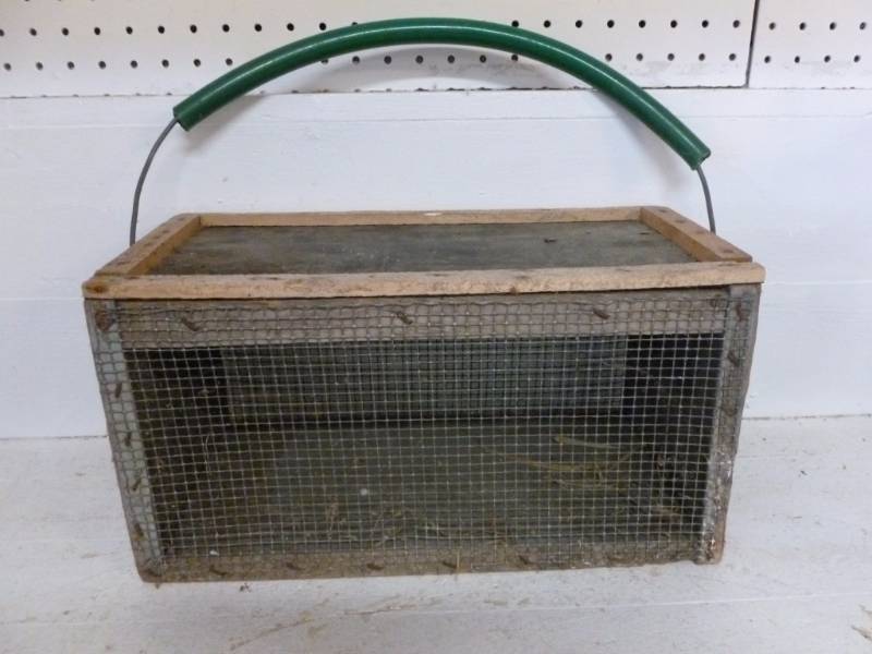 lot 284 image: Vintage Frog Box