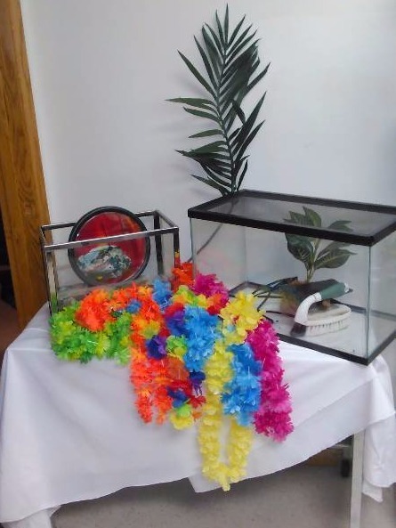 lot 37 image: Tropical Aquariums (2)