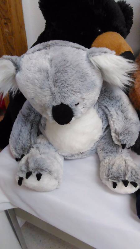 lot 39 image: Bear Pals (5)