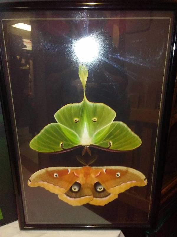lot 103 image: Local Hawley Resident  Artist Mounted Art Work (3)
