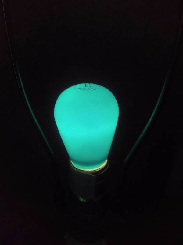 lot 128 image: Bison Green Light bulbs (6) Go Bison Next Bulb Up